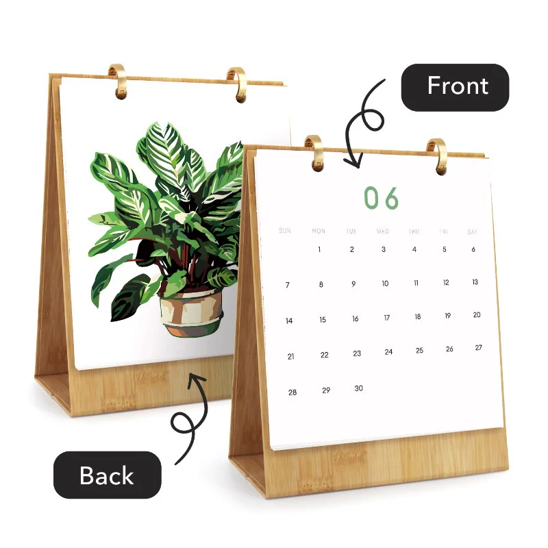 2026 Paint by Numbers desk Calendar | Plants Edition - Image 11