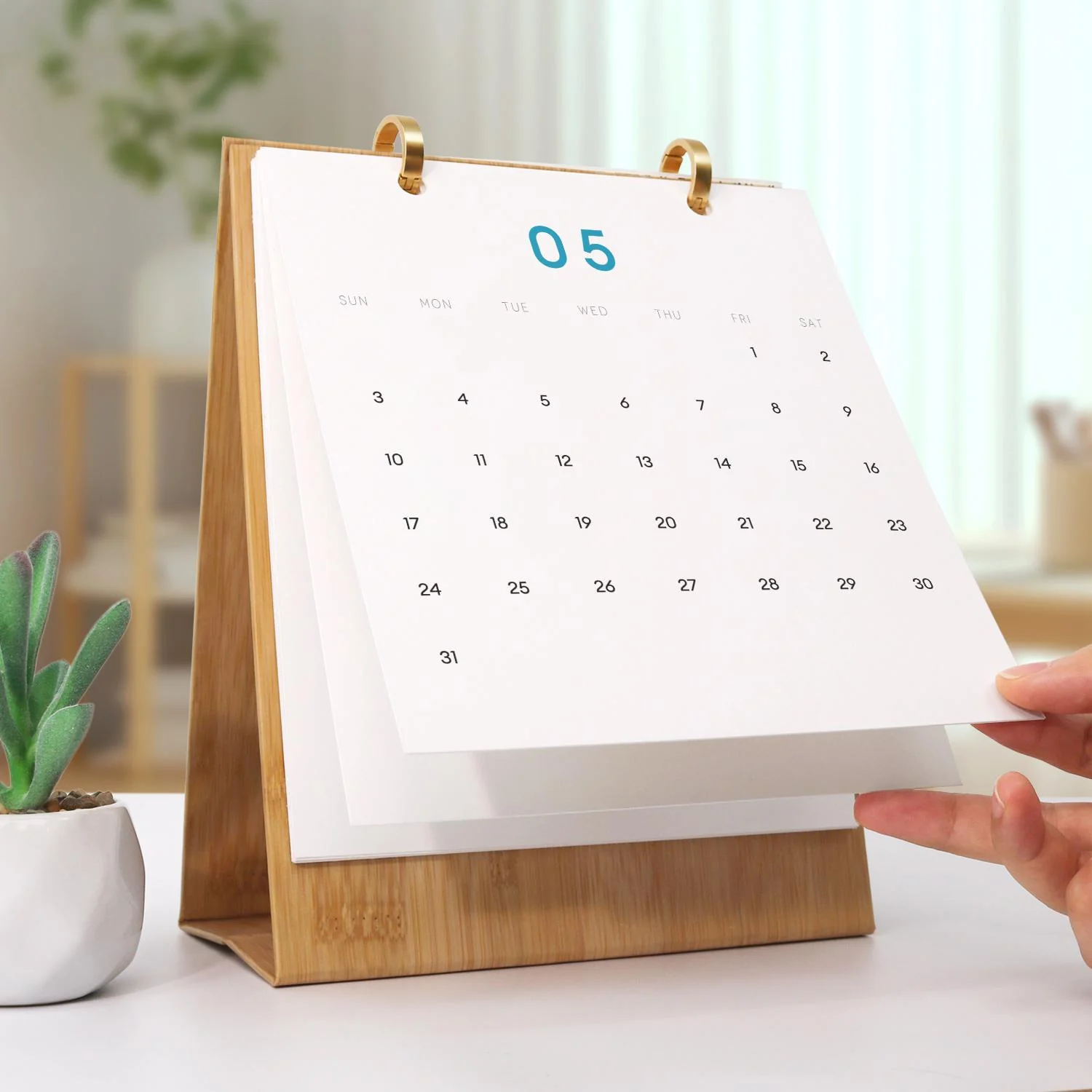 2026 Paint by Numbers desk Calendar | World trip Edition - Image 16