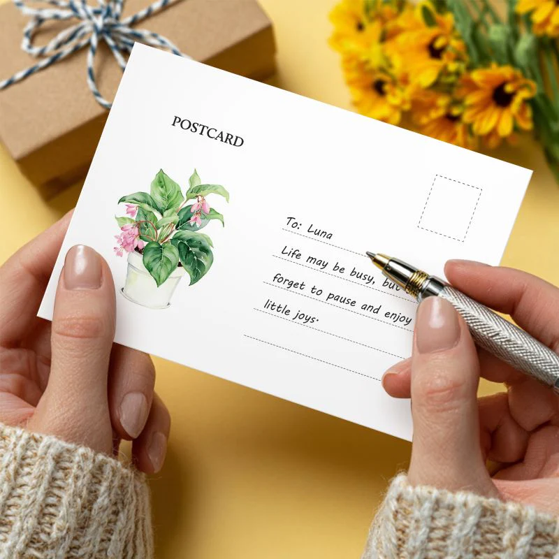 5 Postcards – Houseplants Set | Paint by Number - Image 9