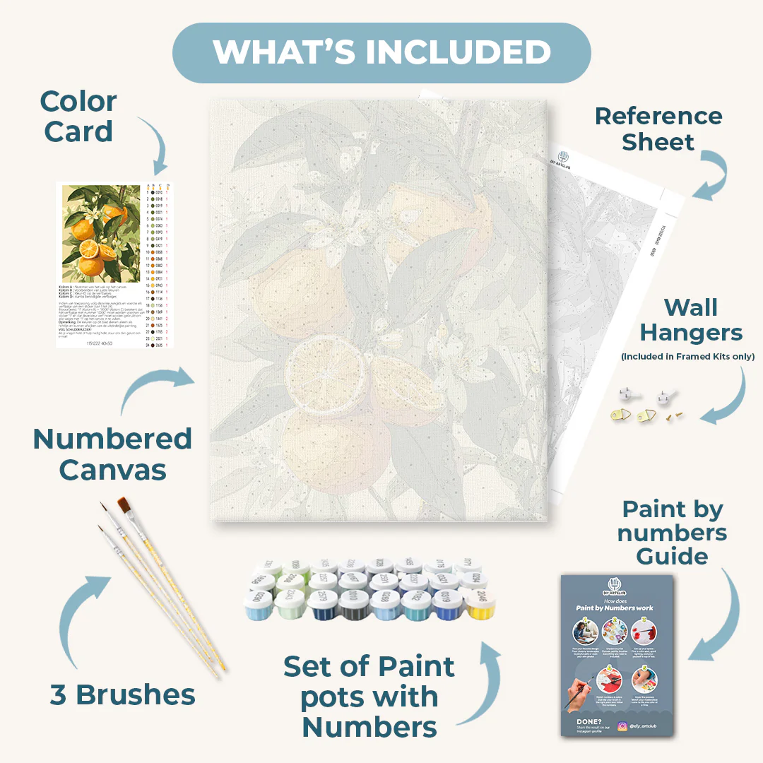 Blooming citrus fruits | Paint by Number - Image 3