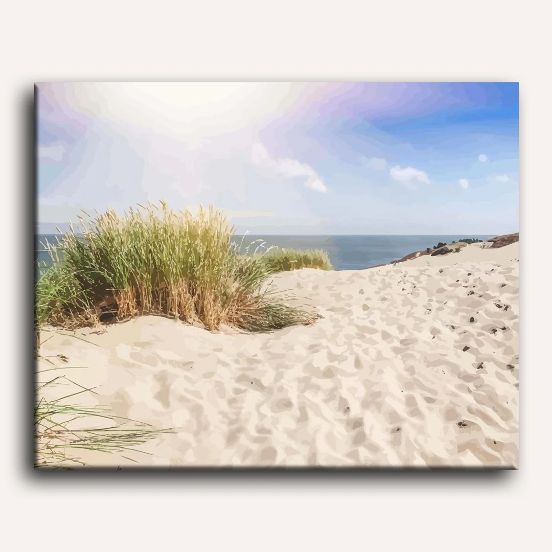 Dunes on the Sandy Beach of the Baltic Sea | Paint by Numbers - Image 2