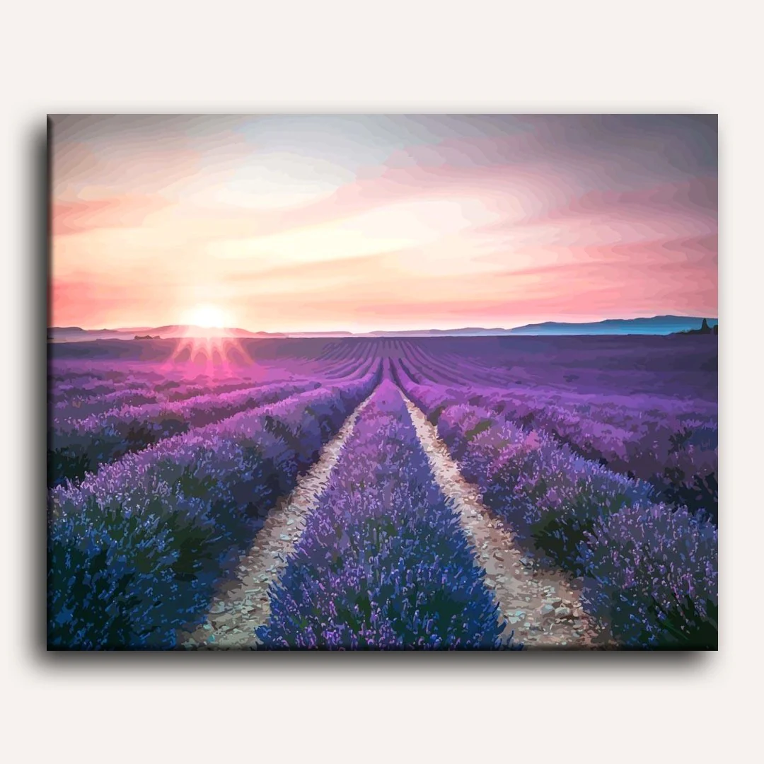 Lavender Flower Field | Paint by Numbers - Image 2