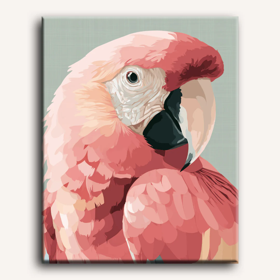 Pink Ara | Paint by Number - Image 2