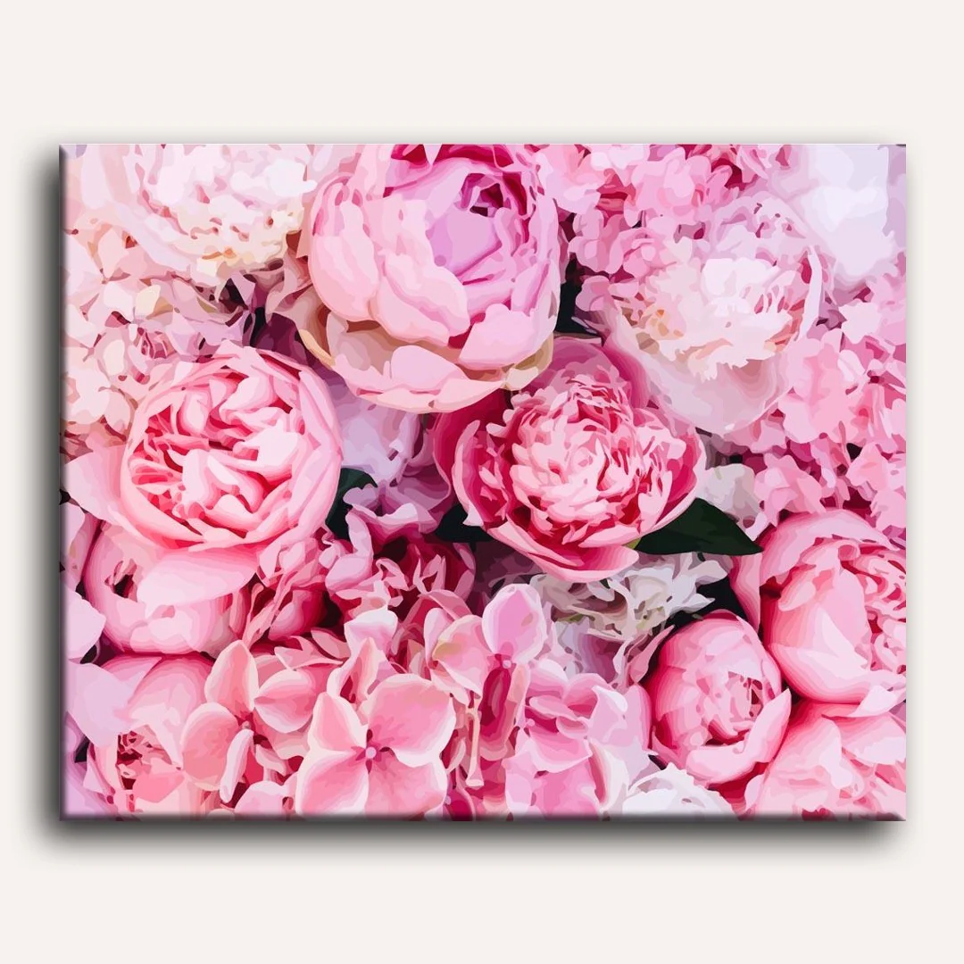 Pink Peonies Background | Paint by Numbers - Image 2