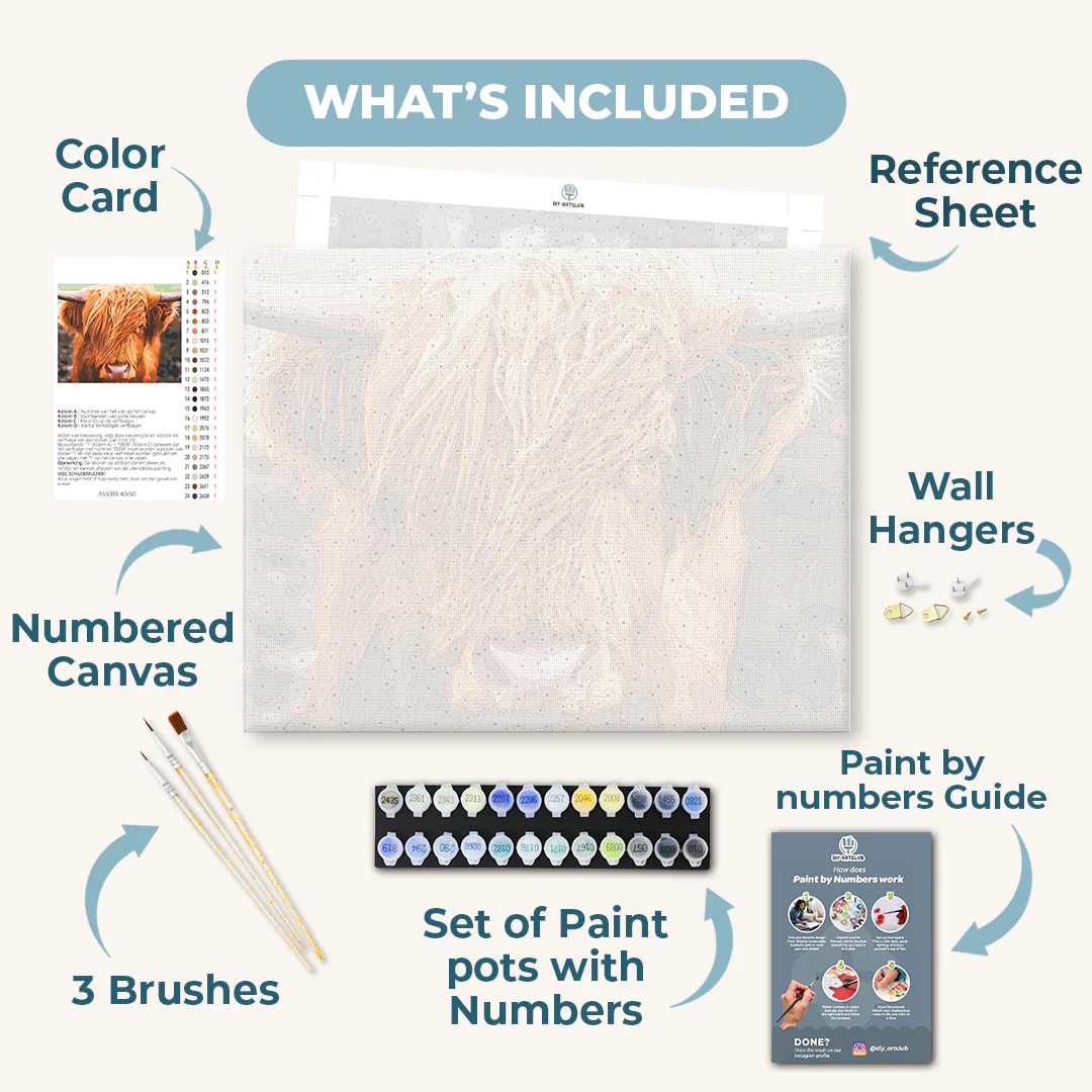 Scottish Highland Cattle | Paint by numbers - Image 3