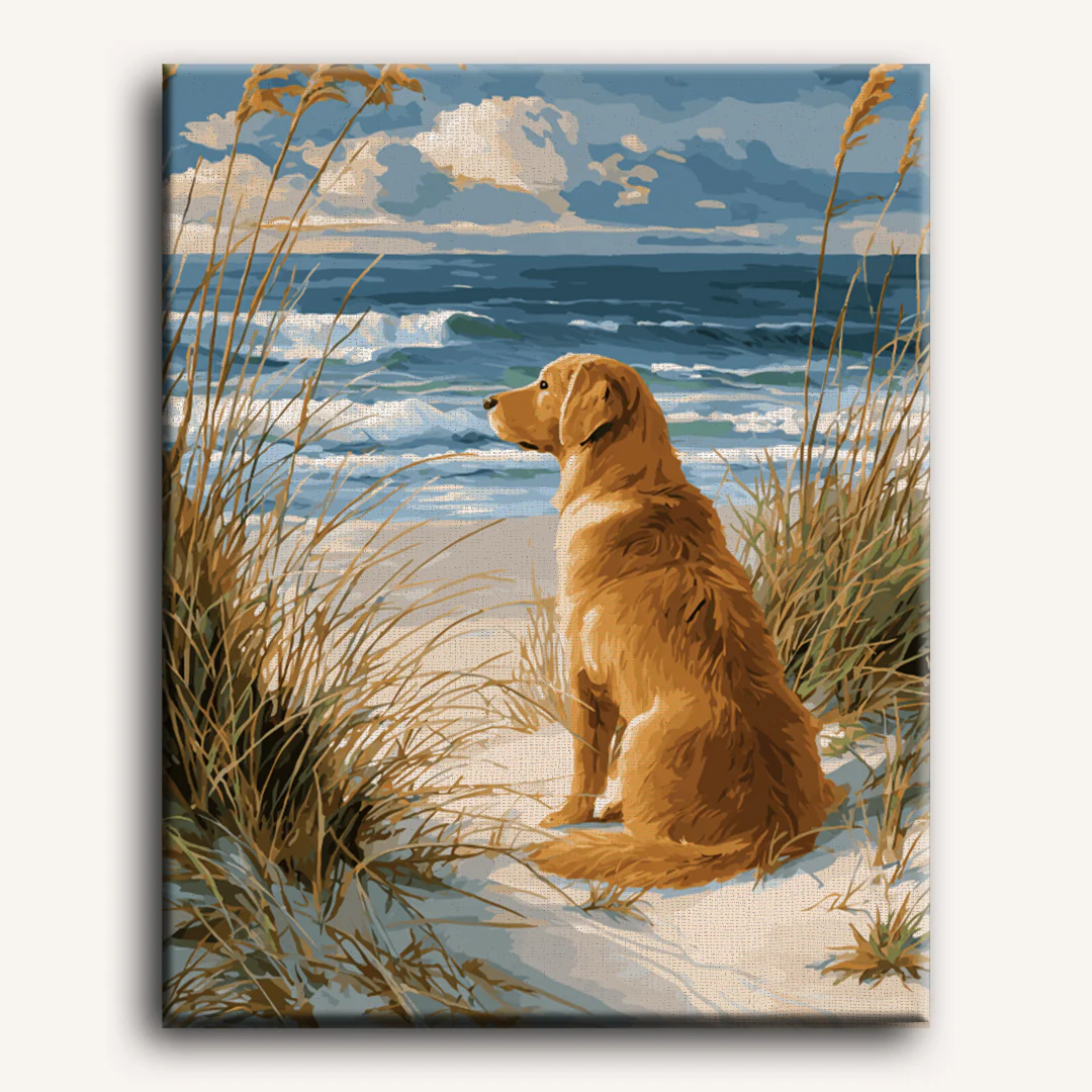 Waiting Labrador | Paint by Number - Image 2